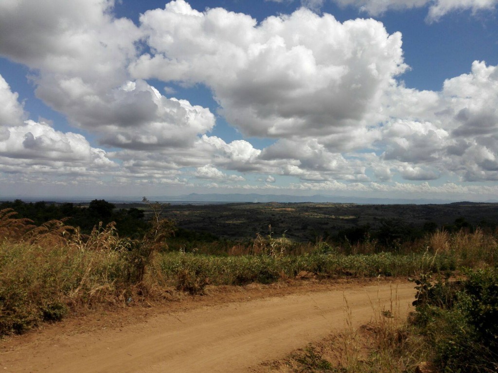 13453181_1722803237998569_582925183_o